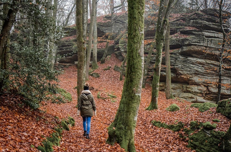 Hiking